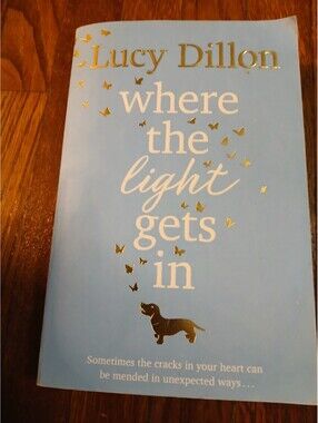 Where The Light Gets In by Lucy Dillon